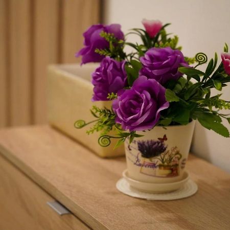 Apartment Lola 斯普利特 外观 照片